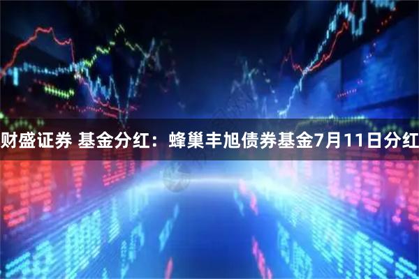 财盛证券 基金分红：蜂巢丰旭债券基金7月11日分红